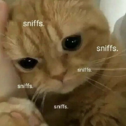 %b %23 %08:%Sep